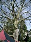 eyne200507.jpg